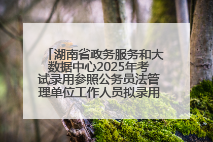 湖南省政务服务和大数据中心2025年考试录用参照公务员法管理单位工作人员拟录用人员名单公示