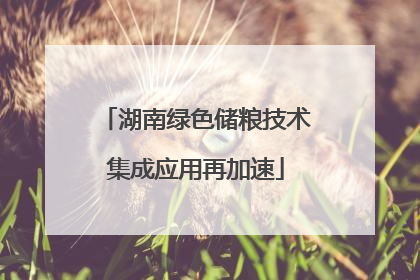 湖南绿色储粮技术集成应用再加速