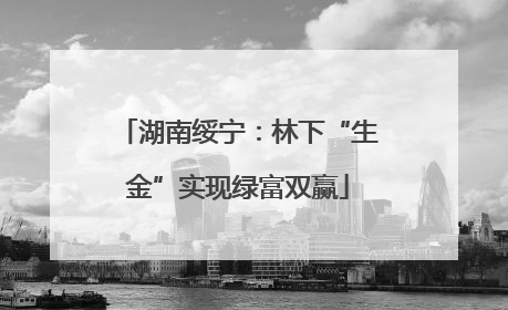 湖南绥宁：林下“生金”实现绿富双赢