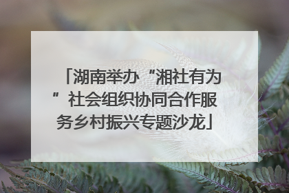湖南举办“湘社有为”社会组织协同合作服务乡村振兴专题沙龙