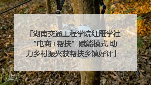 湖南交通工程学院红雁学社“电商+帮扶”赋能模式 助力乡村振兴获帮扶乡镇好评