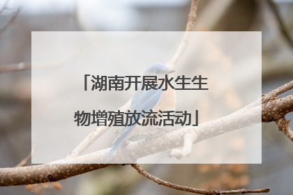 湖南开展水生生物增殖放流活动