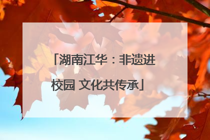 湖南江华：非遗进校园 文化共传承