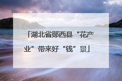 湖北省郧西县“花产业”带来好“钱”景