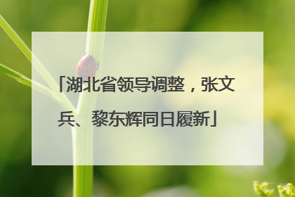 湖北省领导调整，张文兵、黎东辉同日履新