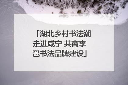 湖北乡村书法潮走进咸宁 共商李邕书法品牌建设