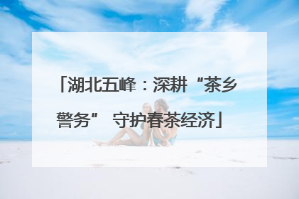 湖北五峰：深耕“茶乡警务” 守护春茶经济