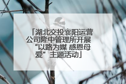 湖北交投襄阳运营公司隆中管理所开展“以路为媒 感恩母爱”主题活动