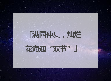 满园仲夏，灿烂花海迎“双节”