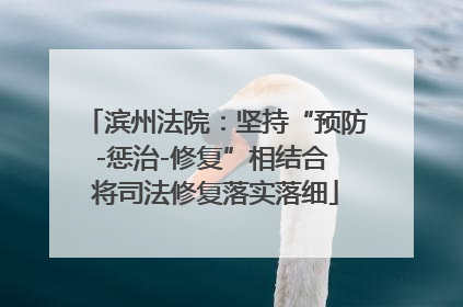 滨州法院：坚持“预防-惩治-修复”相结合 将司法修复落实落细