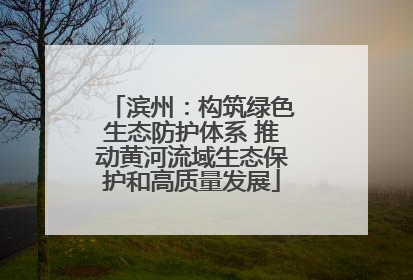 滨州：构筑绿色生态防护体系 推动黄河流域生态保护和高质量发展