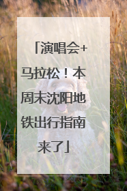 演唱会+马拉松！本周末沈阳地铁出行指南来了