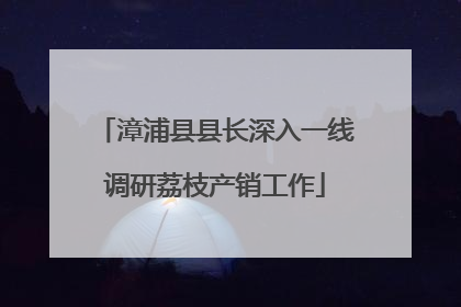 漳浦县县长深入一线调研荔枝产销工作