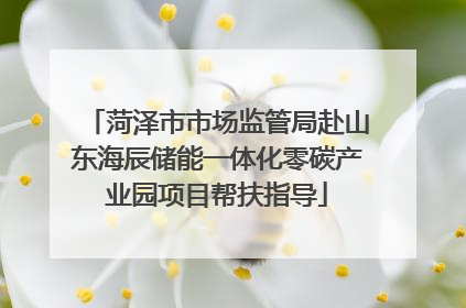菏泽市市场监管局赴山东海辰储能一体化零碳产业园项目帮扶指导