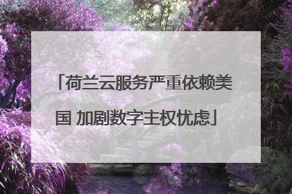 荷兰云服务严重依赖美国 加剧数字主权忧虑