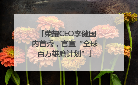 荣耀CEO李健国内首秀，官宣“全球百万雄鹰计划”