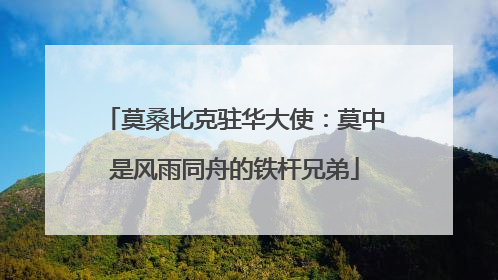 莫桑比克驻华大使：莫中是风雨同舟的铁杆兄弟