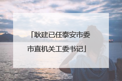 耿建已任泰安市委市直机关工委书记