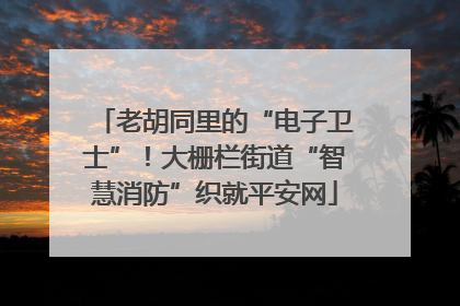 老胡同里的“电子卫士”！大栅栏街道“智慧消防”织就平安网
