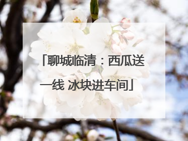 聊城临清：西瓜送一线 冰块进车间