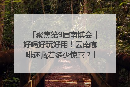 聚焦第9届南博会｜好喝好玩好用！云南咖啡还藏着多少惊喜？