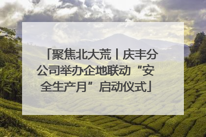 聚焦北大荒丨庆丰分公司举办企地联动“安全生产月”启动仪式