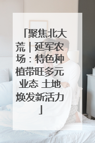 聚焦北大荒｜延军农场：特色种植带旺多元业态 土地焕发新活力