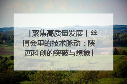 聚焦高质量发展丨丝博会里的技术脉动：陕西科创的突破与想象