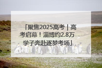 聚焦2025高考｜高考启幕！淄博约2.8万学子奔赴逐梦考场