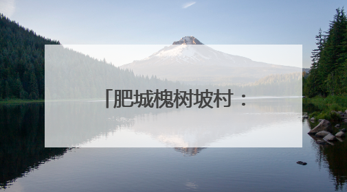 肥城槐树坡村：槐坡风动绿藤新