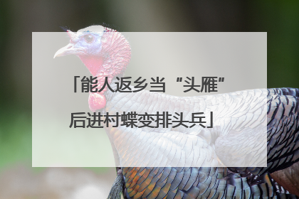 能人返乡当“头雁” 后进村蝶变排头兵