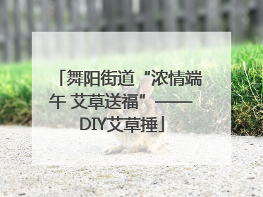 舞阳街道“浓情端午 艾草送福”——DIY艾草捶