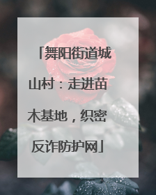 舞阳街道城山村：走进苗木基地，织密反诈防护网