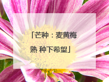 芒种：麦黄梅熟 种下希望