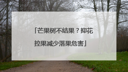 芒果树不结果？抑花控果减少落果危害