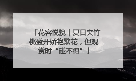 花容悦貌｜夏日夹竹桃盛开娇艳繁花，但观赏时“碰不得”
