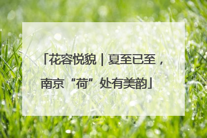 花容悦貌｜夏至已至，南京“荷”处有美韵