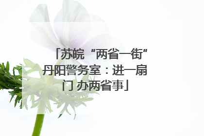 苏皖“两省一街”丹阳警务室：进一扇门 办两省事