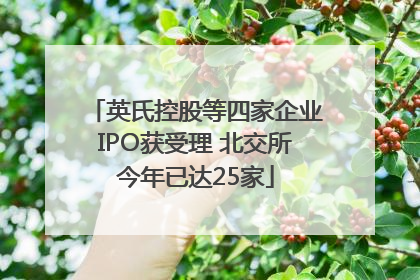 英氏控股等四家企业IPO获受理 北交所今年已达25家
