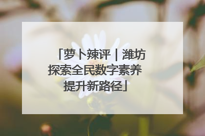 萝卜辣评｜潍坊探索全民数字素养提升新路径