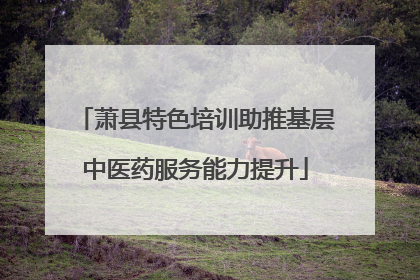 萧县特色培训助推基层中医药服务能力提升