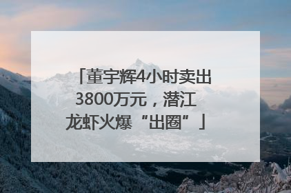 董宇辉4小时卖出3800万元，潜江龙虾火爆“出圈”