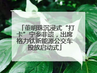 董明珠沉浸式“打卡”宁乡非遗，出席格力钛新能源公交车投放启动式