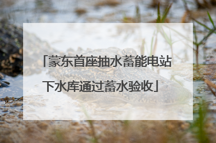 蒙东首座抽水蓄能电站下水库通过蓄水验收