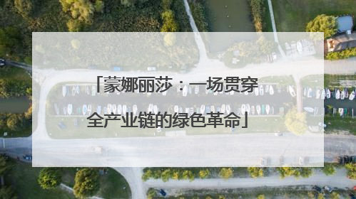 蒙娜丽莎：一场贯穿全产业链的绿色革命
