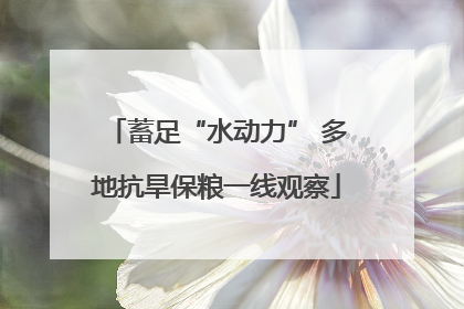 蓄足“水动力” 多地抗旱保粮一线观察