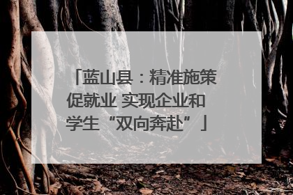 蓝山县：精准施策促就业 实现企业和学生“双向奔赴”
