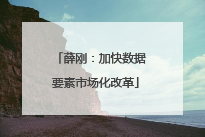 薛刚：加快数据要素市场化改革