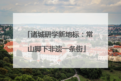 诸城研学新地标：常山脚下非遗一条街