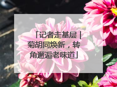 记者走基层｜菊胡同焕新，转角邂逅老味道